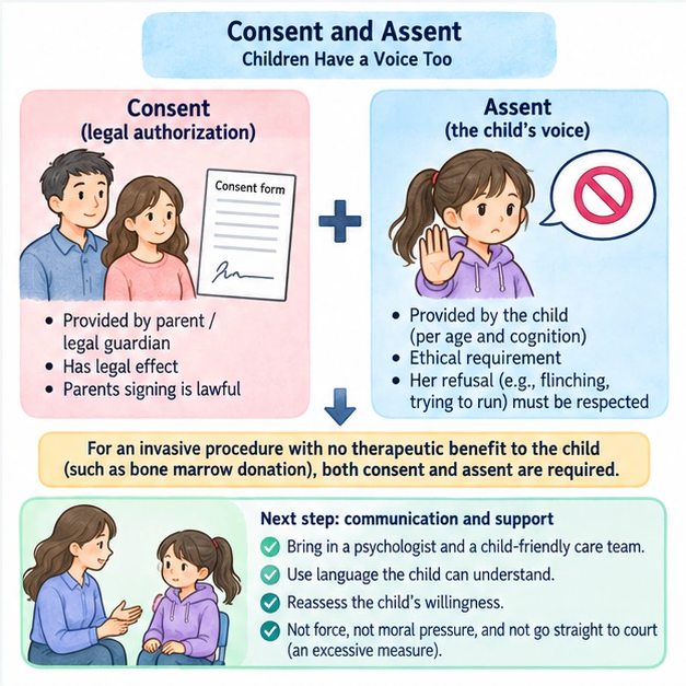 Academic diagram for Consent and Assent: Children Have a Voice Too, based on the complete English source passage.