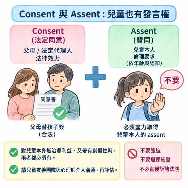 Consent 與 Assent:兒童也有發言權:學術水彩圖解,包含本節的主要結構與關係。